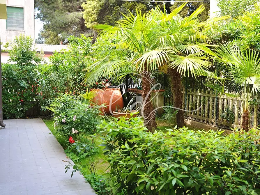 Immagine 3 di Pentalocale in affitto  a Camaiore