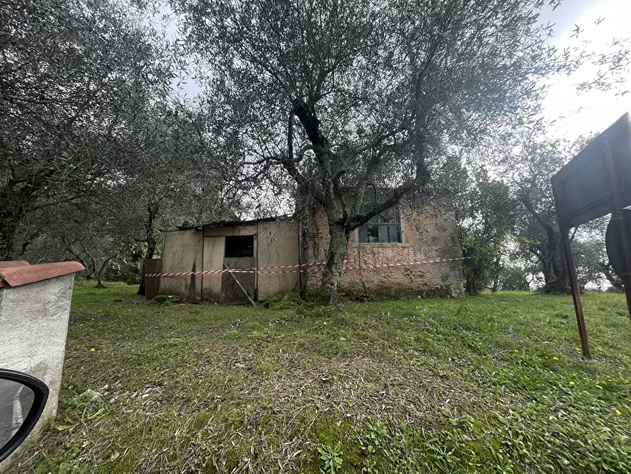 Immagine 1 di Laboratorio in vendita  a Pietrasanta