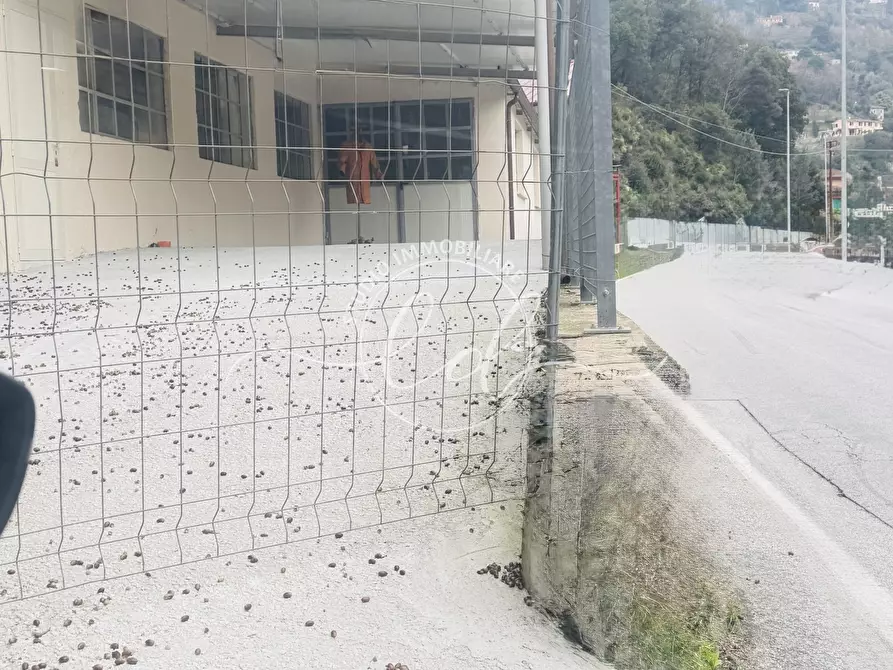 Immagine 15 di Capannone industriale in affitto  a Seravezza