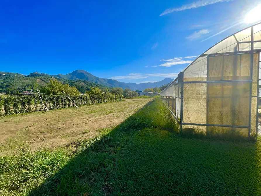 Immagine 3 di Rustico / casale in vendita  a Camaiore