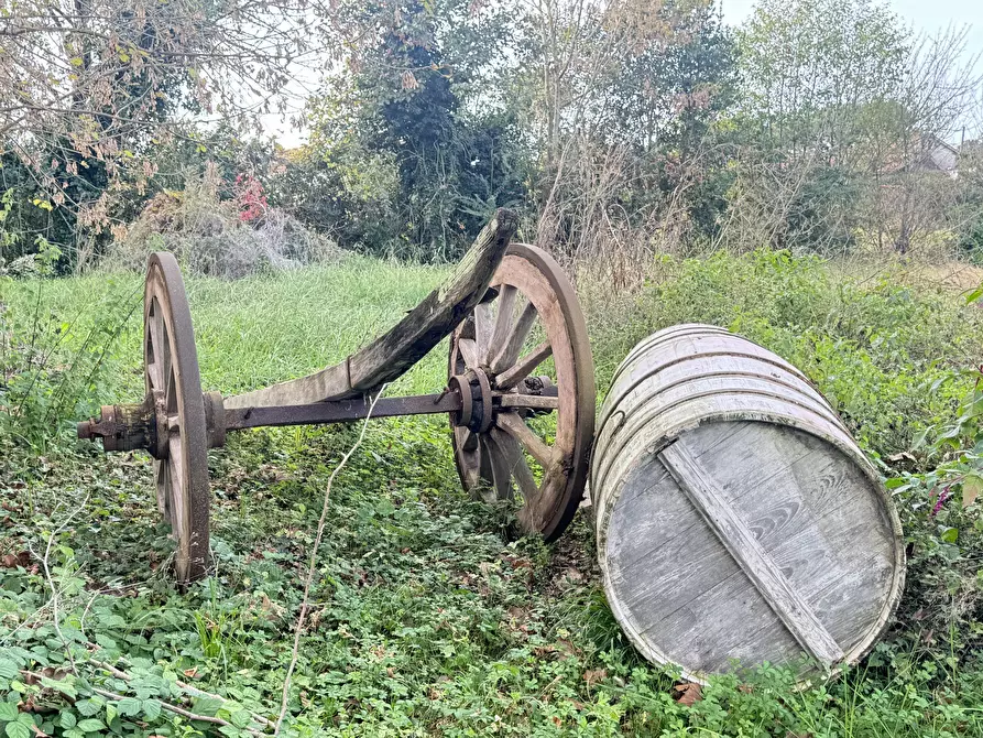 Immagine 67 di Rustico / casale in vendita  a Pietrasanta