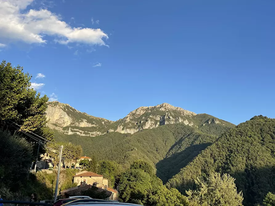 Immagine 30 di Terratetto in vendita  a Stazzema