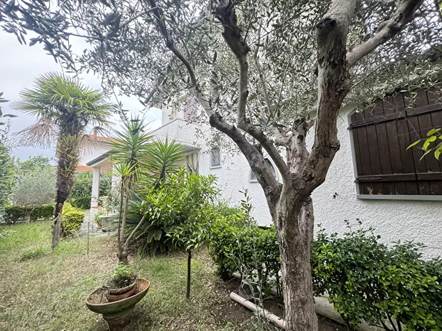 Immagine 29 di Casa indipendente in vendita  a Viareggio