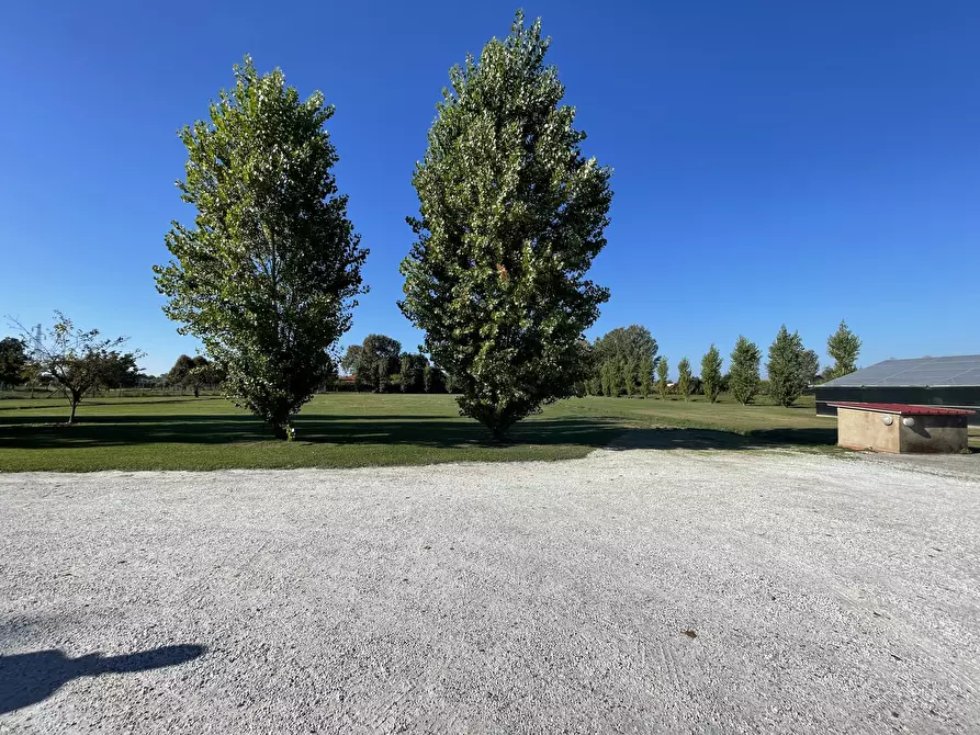 Immagine 85 di Villa in vendita  a Pietrasanta