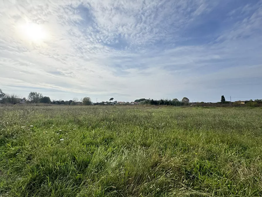Immagine 71 di Rustico / casale in vendita  a Pietrasanta