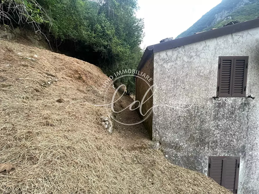 Immagine 48 di Porzione di casa in vendita  a Camaiore