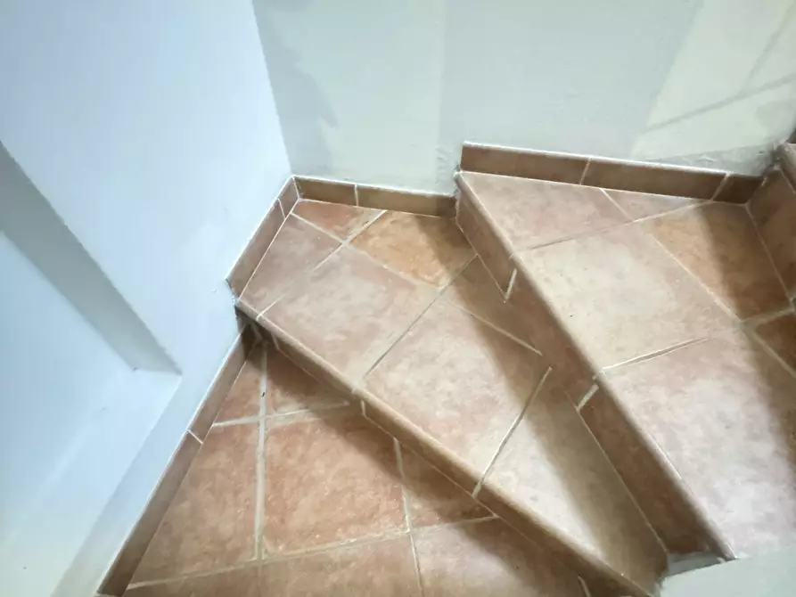 Immagine 23 di Casa indipendente in affitto  a Seravezza