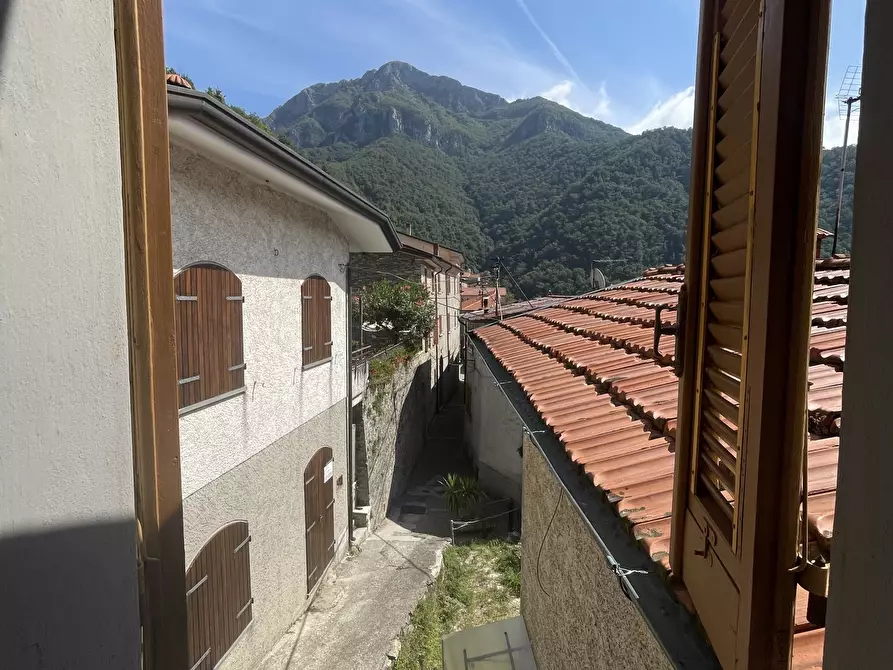 Immagine 20 di Terratetto in vendita  a Stazzema