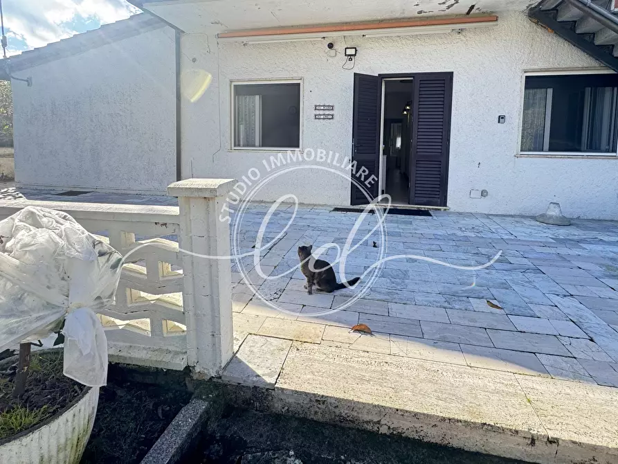 Immagine 1 di Trilocale in vendita  a Pietrasanta