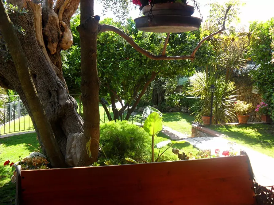 Immagine 15 di Casa indipendente in affitto  a Pietrasanta