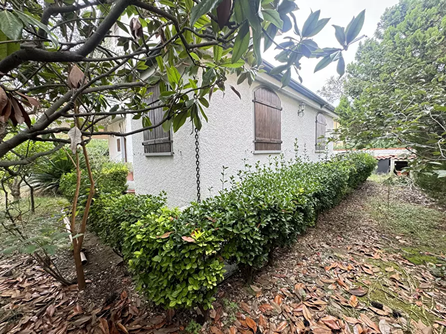 Immagine 28 di Casa indipendente in vendita  a Viareggio