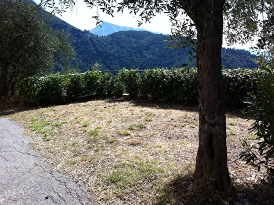 Immagine 11 di Villa in vendita  a Pietrasanta