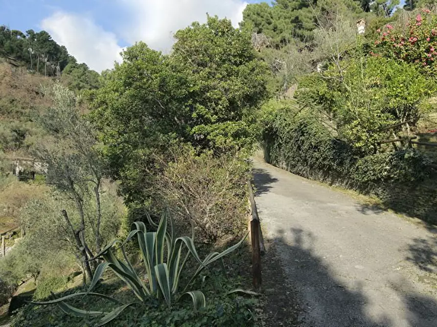 Immagine 23 di Rustico / casale in affitto  a Pietrasanta