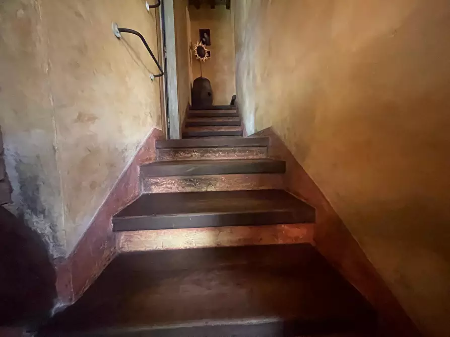 Immagine 19 di Casa indipendente in vendita  a Camaiore