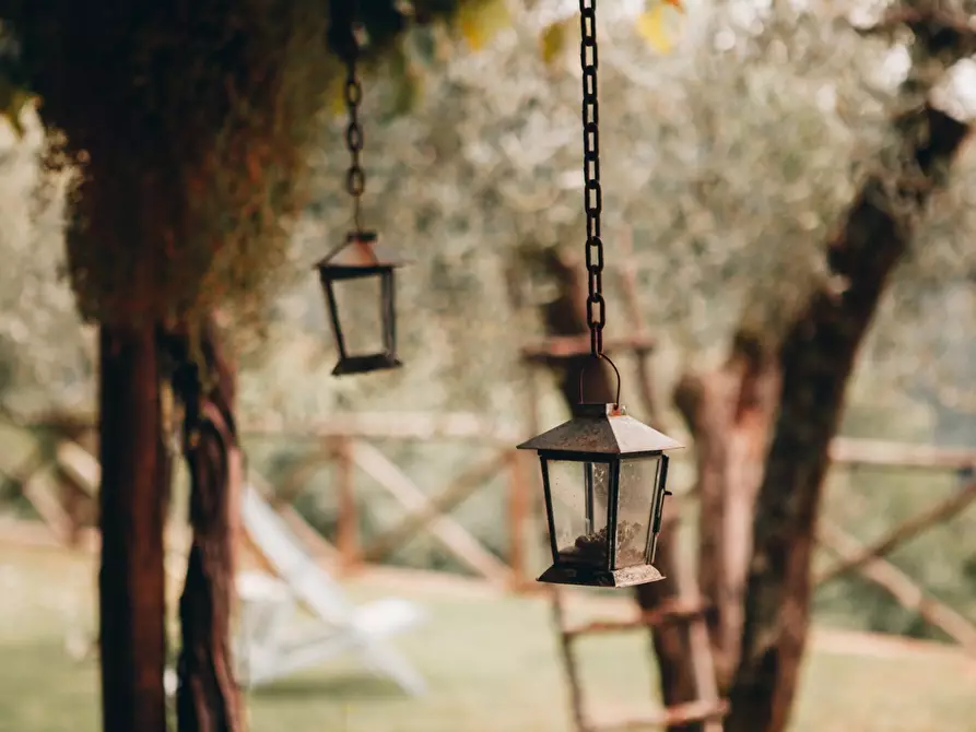 Immagine 33 di Rustico / casale in affitto  a Camaiore