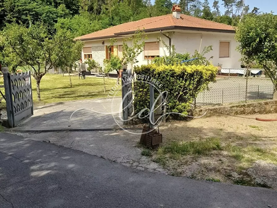 Immagine 2 di Casa indipendente in vendita  a Camaiore