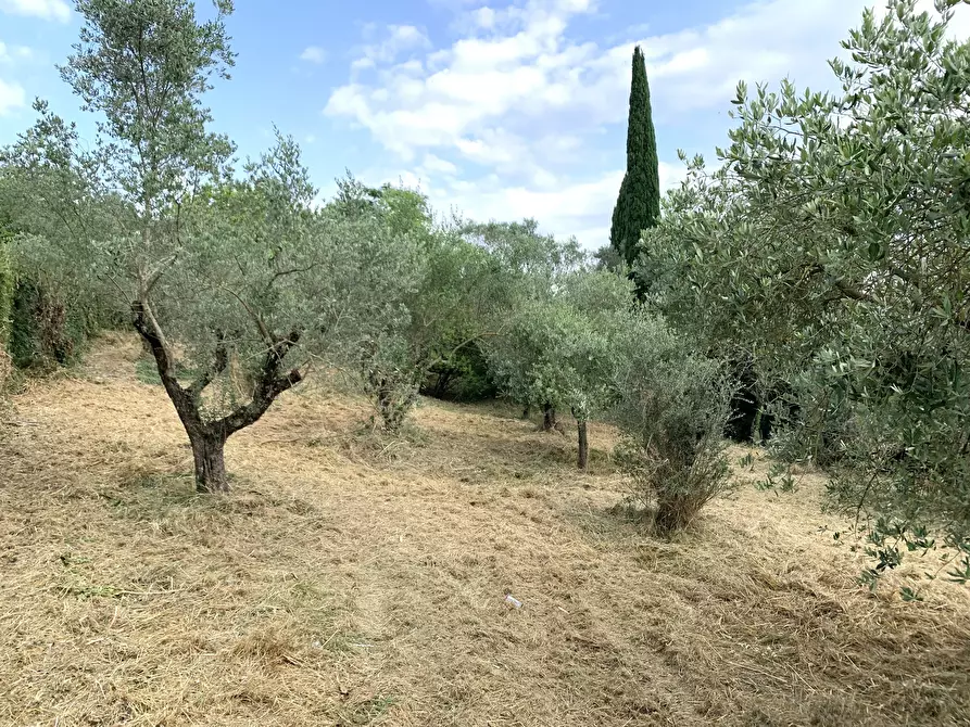 Immagine 6 di Terreno agricolo in vendita  in Via San Giorgetto a Anagni