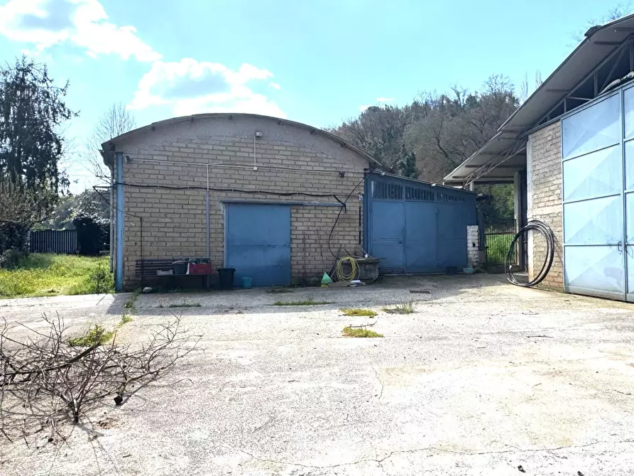 Immagine 4 di Locale commerciale in vendita  in Via Santa Apollaria a Zagarolo