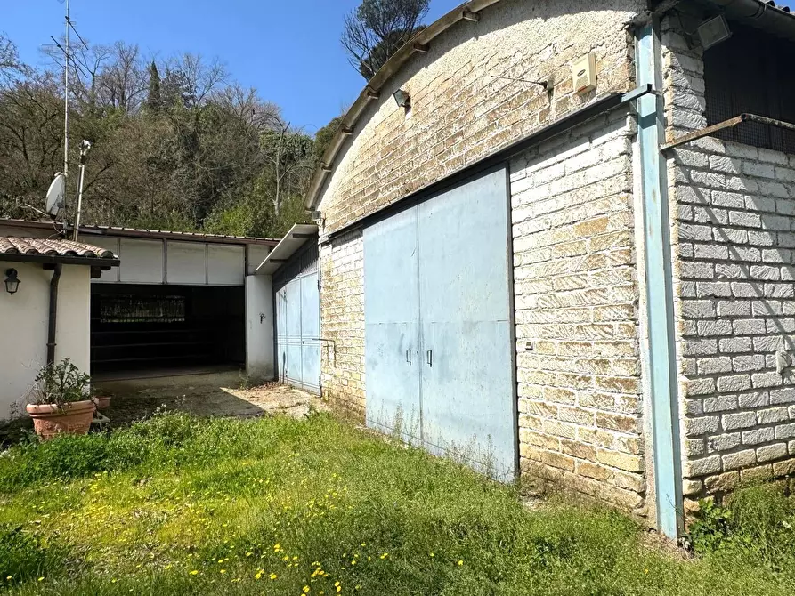 Immagine 5 di Locale commerciale in vendita  in Via Santa Apollaria a Zagarolo