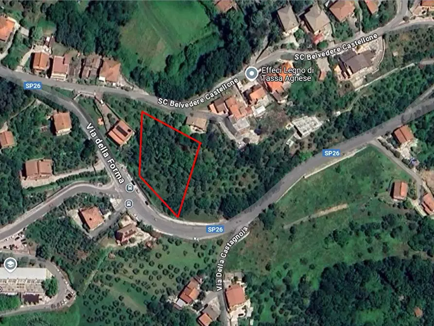 Immagine 11 di Terreno agricolo in vendita  in Via San Giorgetto a Anagni