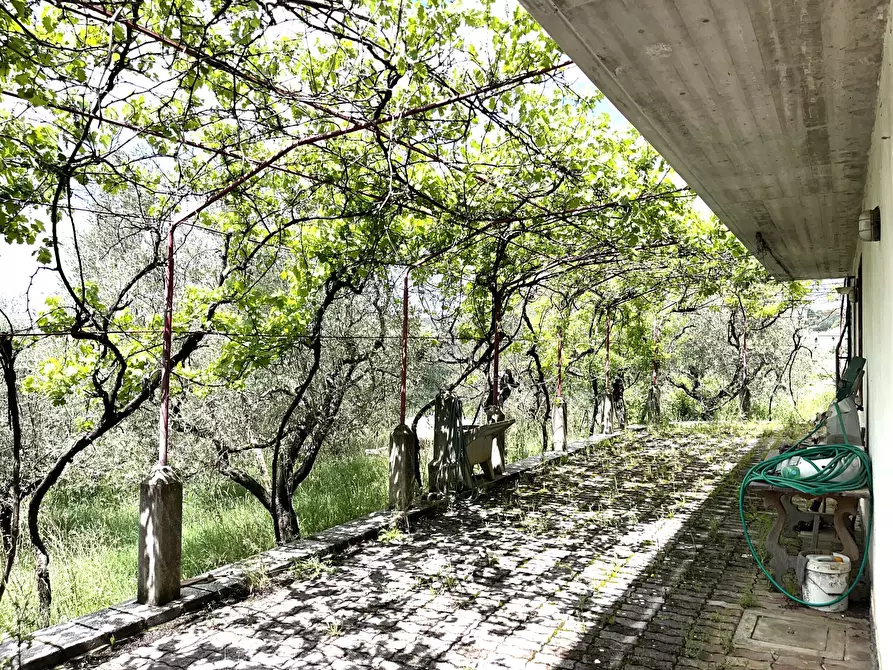 Immagine 39 di Villa in vendita  in Contrada Zancati Nuovo a Paliano
