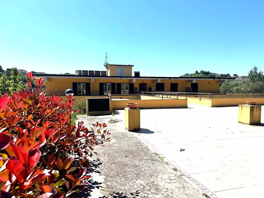 Immagine 12 di Appartamento in vendita  in Via Pescara a Veroli