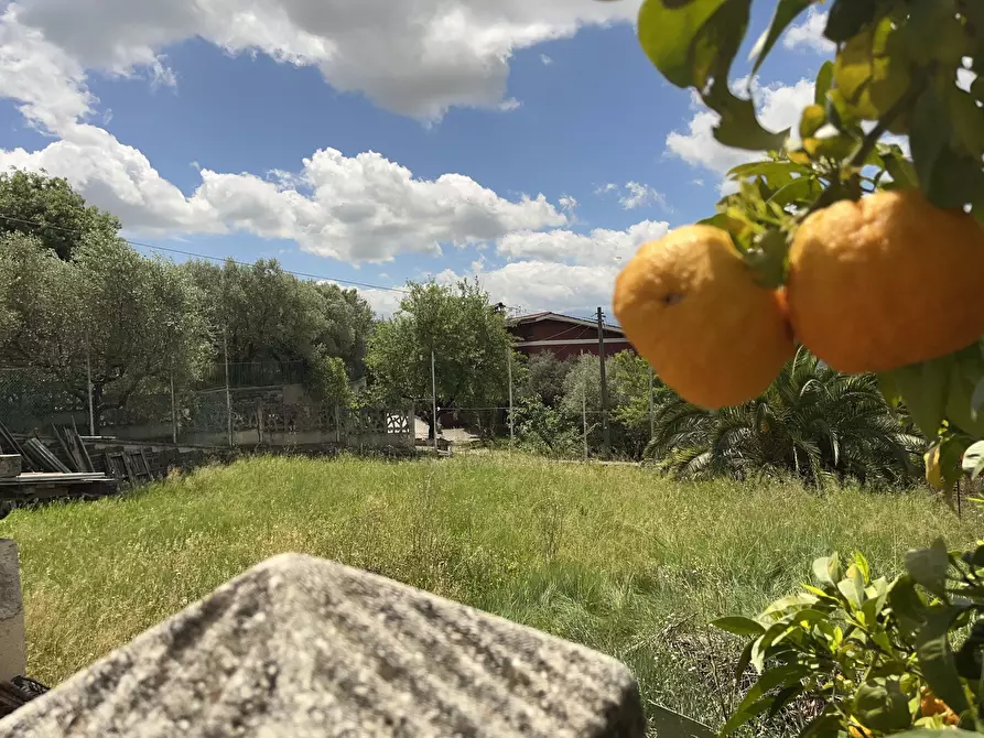 Immagine 42 di Villa in vendita  in Contrada Zancati Nuovo a Paliano