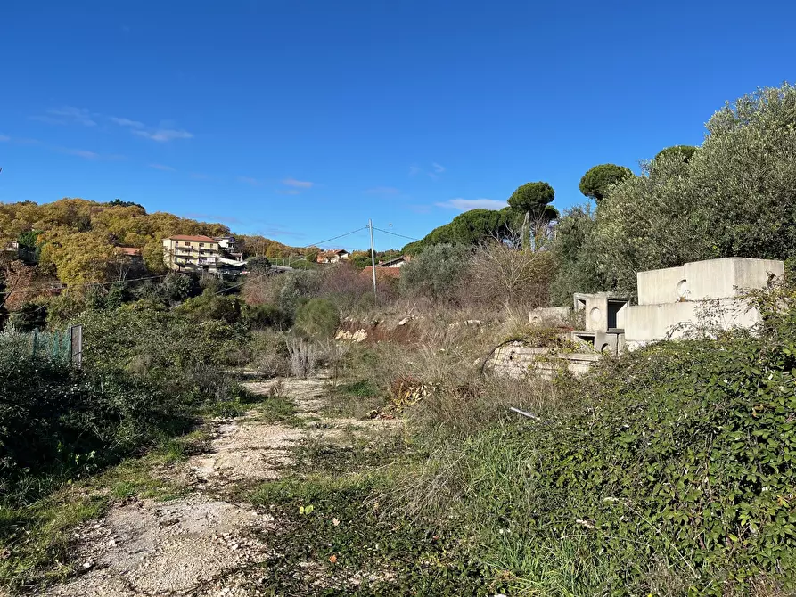 Immagine 2 di Terreno agricolo in vendita  in Via delle Mele a Segni