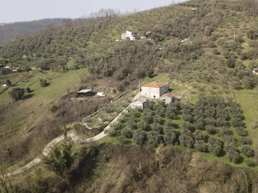 Immagine 2 di Rustico / casale in vendita  in Strada Provinciale 118 a Anagni
