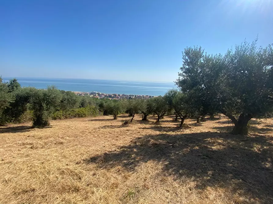 Immagine 21 di Porzione di casa in vendita  in Contrada Stagliano a Silvi