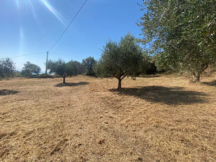 Immagine 17 di Porzione di casa in vendita  in Contrada Stagliano a Silvi
