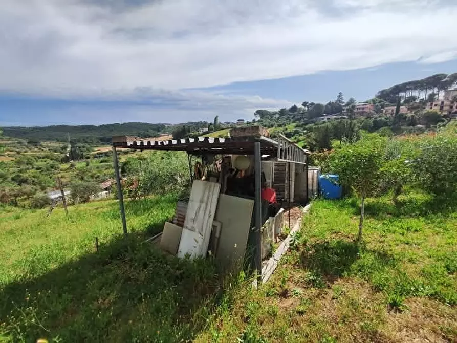 Immagine 14 di Terreno agricolo in vendita  in via monte palombino a Fonte Nuova