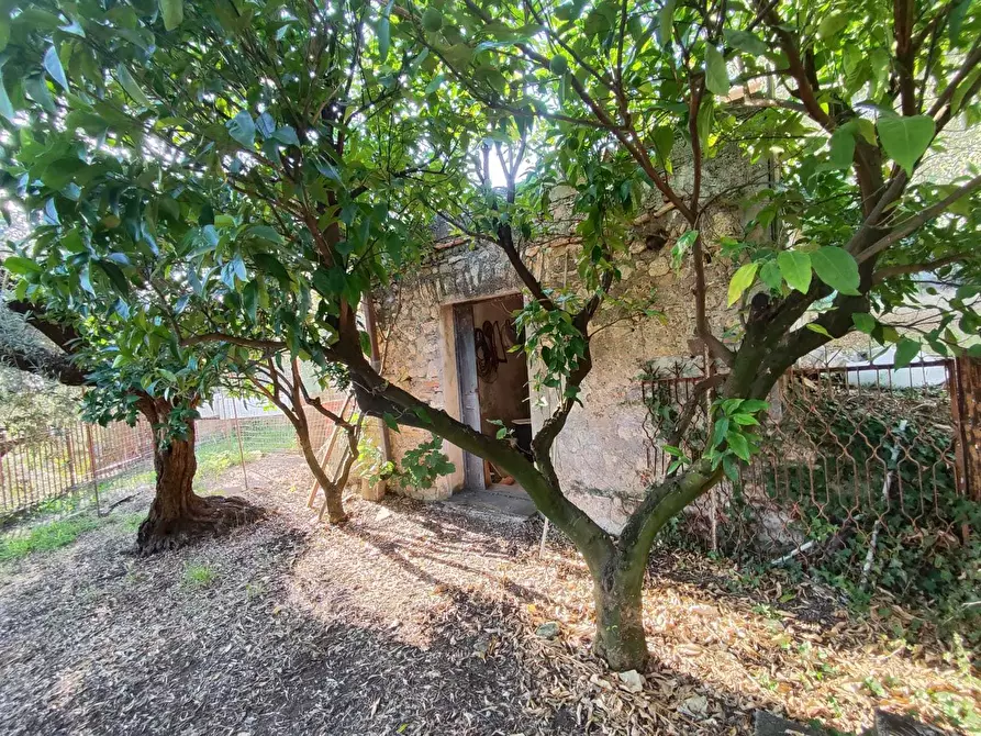 Immagine 21 di Terreno agricolo in vendita  in via caolini a Marcellina