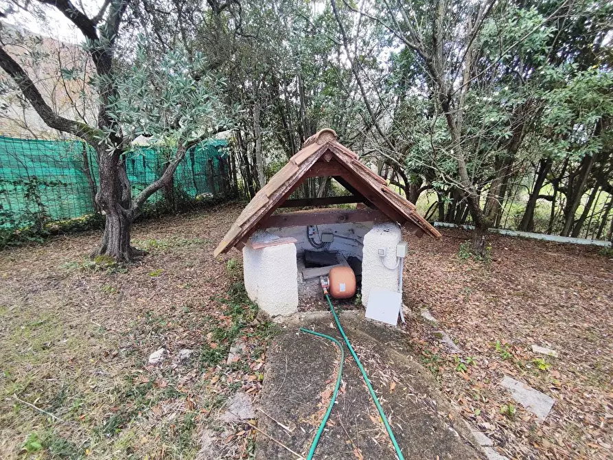 Immagine 9 di Terreno agricolo in vendita  in Via Dello Scalo Ferroviario 12 a Marcellina