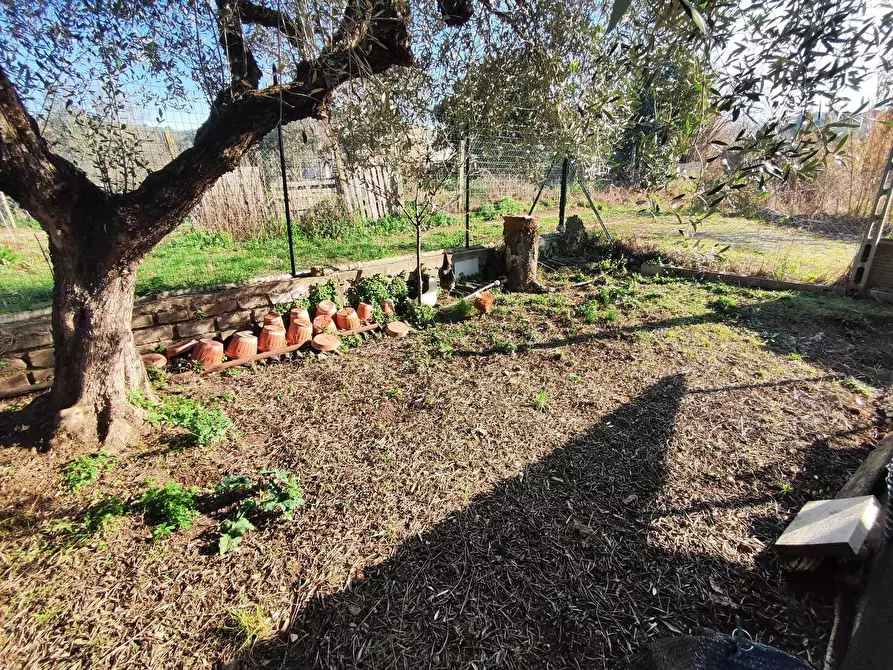 Immagine 20 di Terreno agricolo in vendita  in Via Colle di Mitriano a Guidonia Montecelio