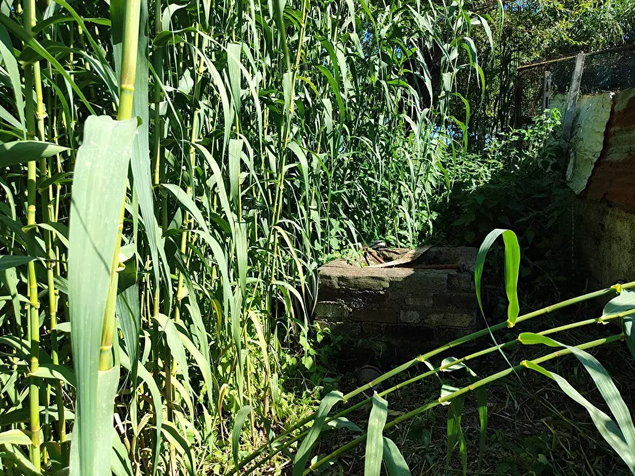Immagine 10 di Terreno agricolo in vendita  in Via Colle Ponte a Guidonia Montecelio
