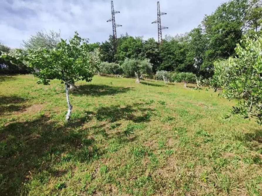 Immagine 17 di Terreno agricolo in vendita  in via monte palombino a Fonte Nuova