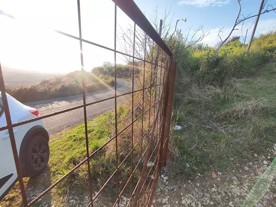 Immagine 10 di Terreno agricolo in vendita  in SP53a 53 a Tivoli