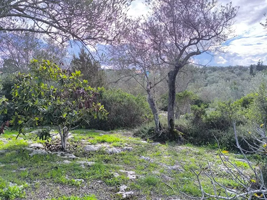 Immagine 33 di Villa in vendita  in Strada Vicinale Li Curuneddi Tronco B a Sassari