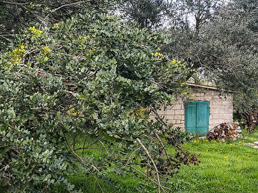 Immagine 10 di Terreno agricolo in vendita  in CONTRADA SABATU' a Canicattini Bagni