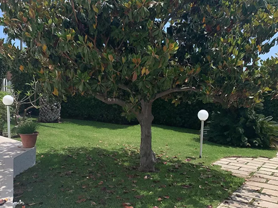 Immagine 4 di Appartamento in affitto  in VIALE DEI LIDI a Siracusa