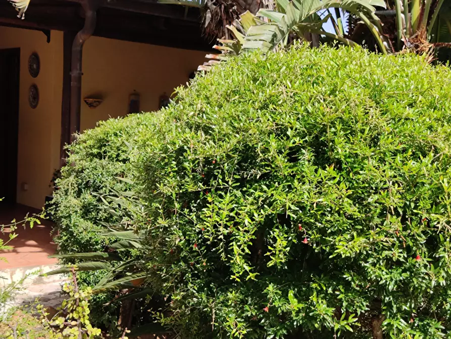 Immagine 63 di Villa in vendita  a Castellammare Del Golfo