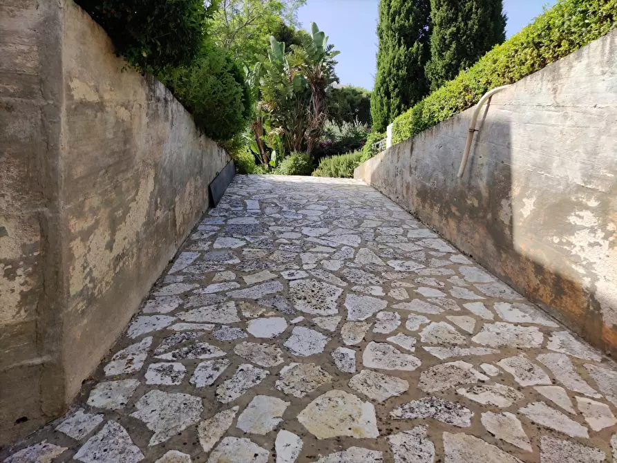 Immagine 46 di Villa in vendita  a Castellammare Del Golfo