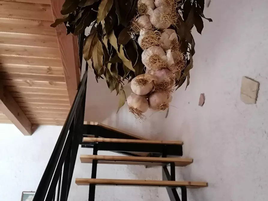 Immagine 14 di Rustico / casale in vendita  a Partinico