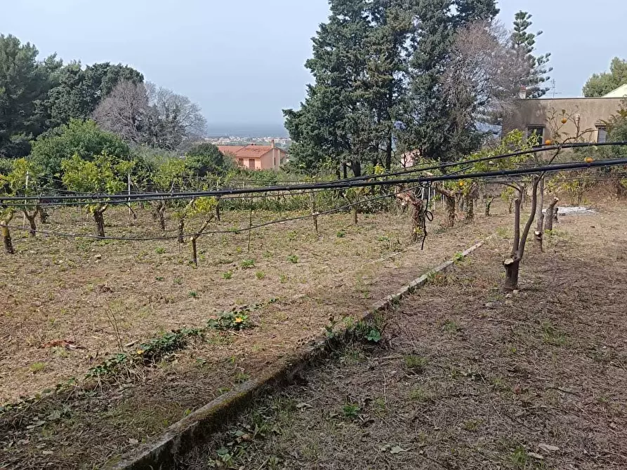 Immagine 27 di Villa in vendita  a Valderice