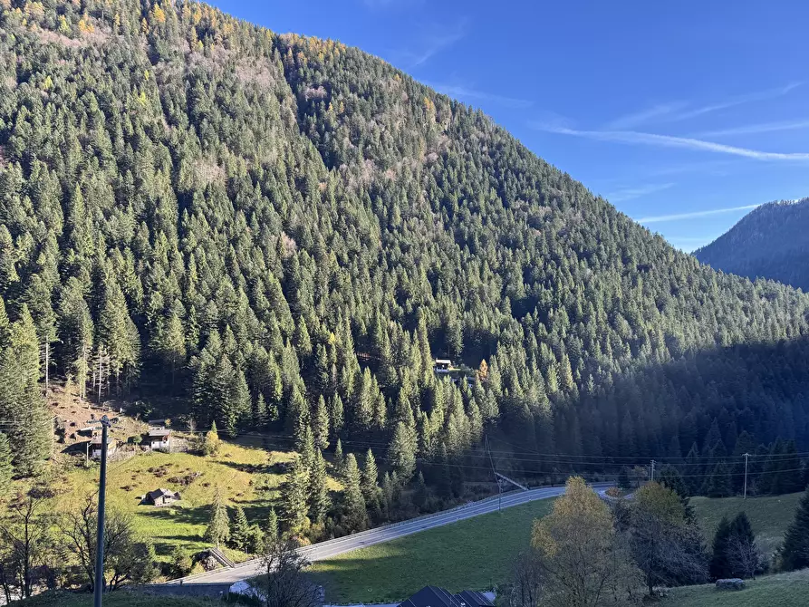 Immagine 19 di Locale commerciale in vendita  in Località Castello 4 a Mezzoldo