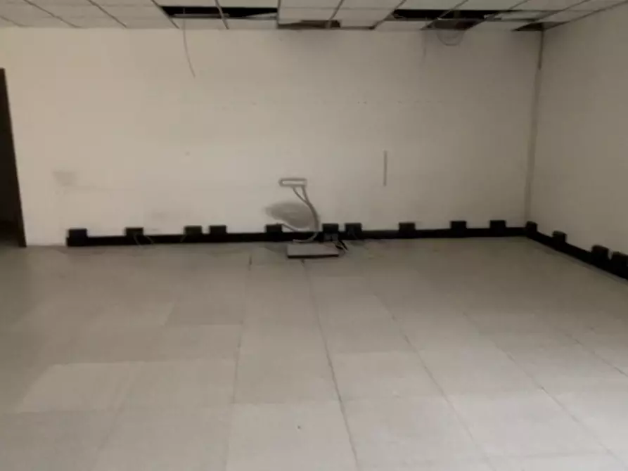 Immagine 10 di Capannone industriale in vendita  in Via Walter Tobagi 11 a San Cipriano Po