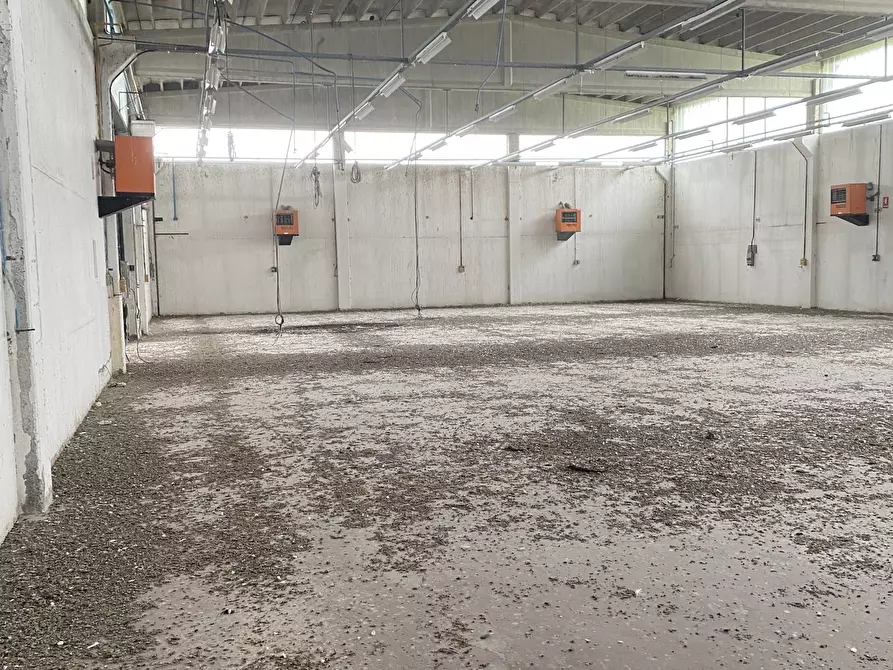 Immagine 13 di Capannone industriale in affitto  in VIA BRODOLINI 5 a Casalpusterlengo