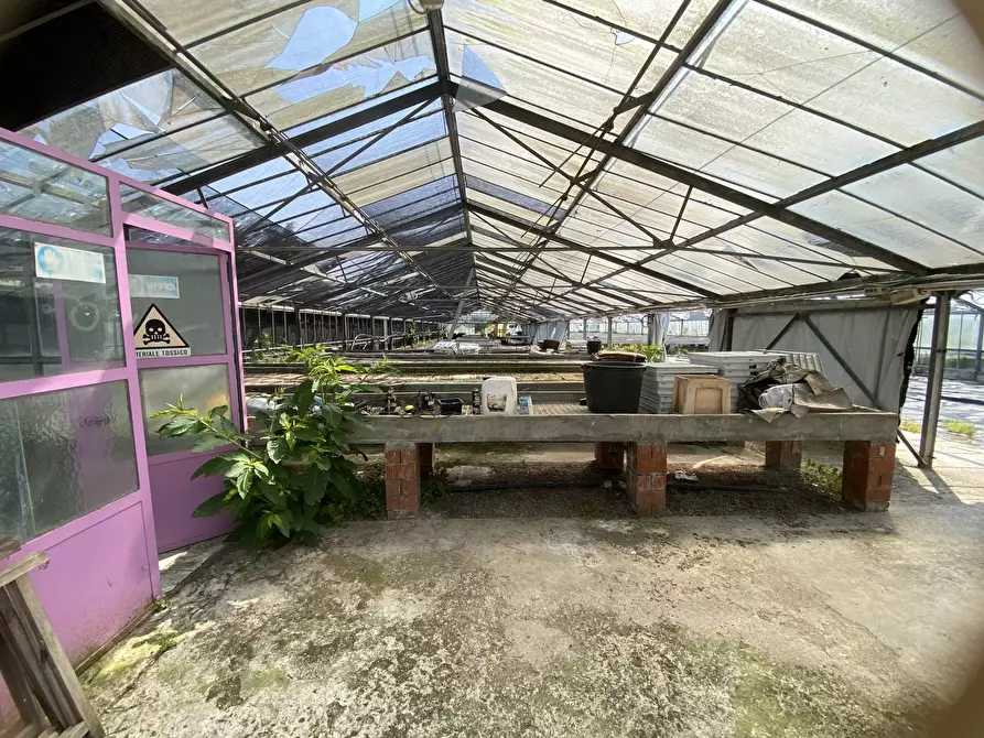 Immagine 1 di Terreno agricolo in vendita  in VIA CERCA 2 a Settala