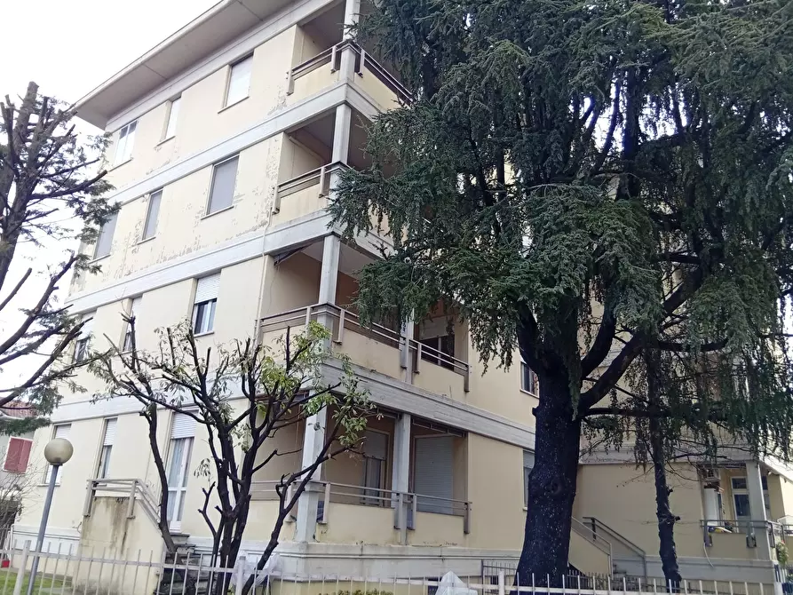 Immagine 1 di Appartamento in vendita  in Via Nino Bixio 125 a Casalmaggiore